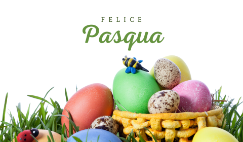 media.PASQUA