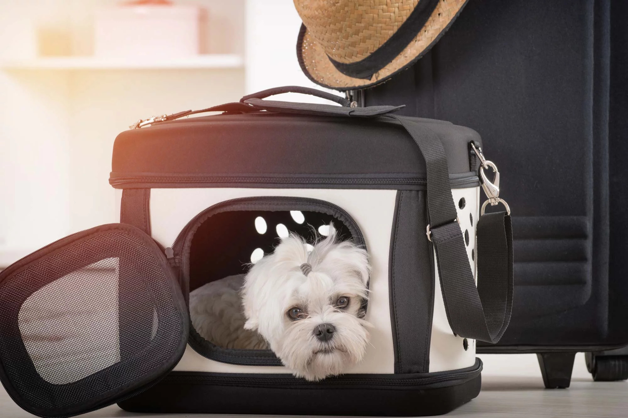 media.Slide-Servizi-02-Hotel-Queen-Mary-Cattolica